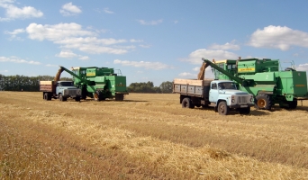 На полях Белозерья